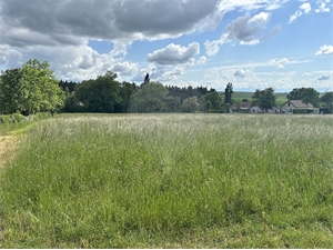 terrain à la vente -   89290  QUENNE, surface 3383 m2 vente terrain - UBI470985956